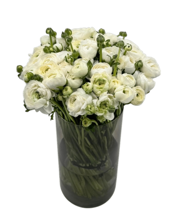 White Ranúnculos bouquet