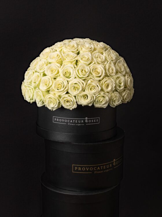 Eternal glamour box