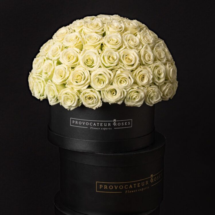 Eternal glamour box