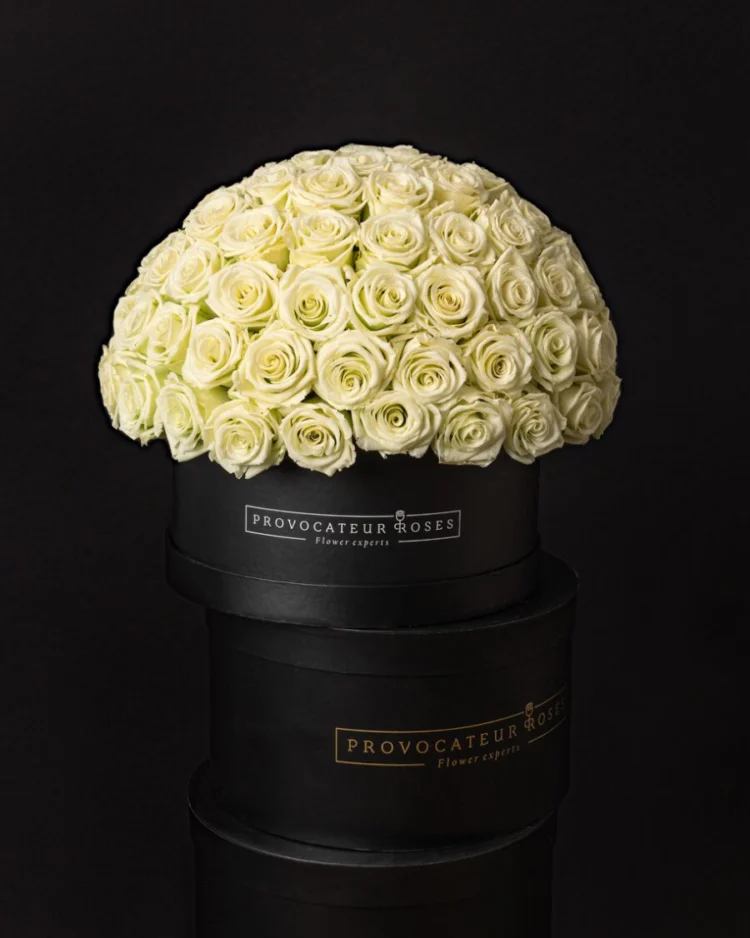 Eternal glamour box