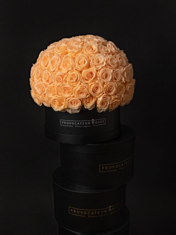 Eternal glamour box - Imagen 2