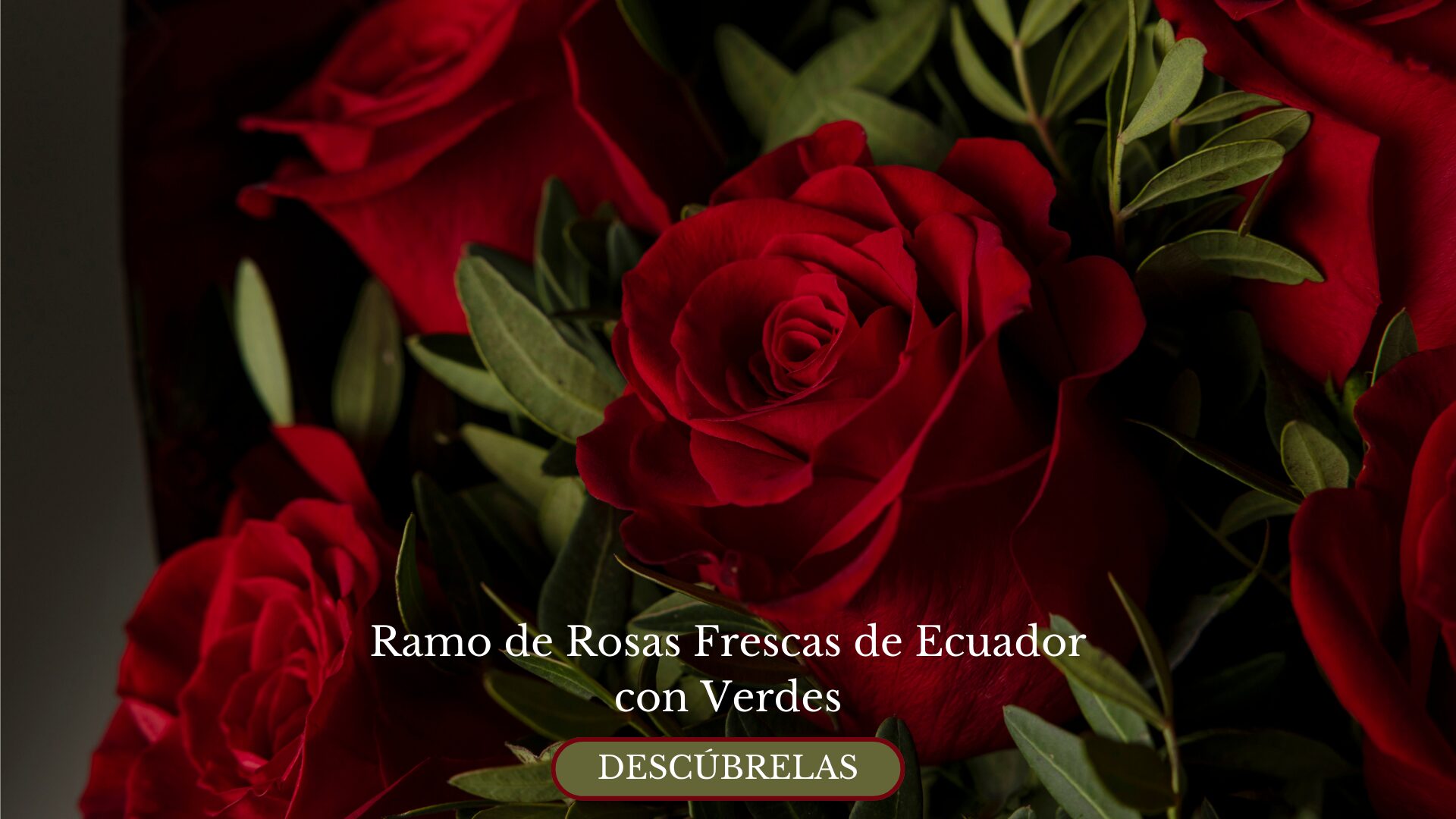 Ramo de Rosas Frescas con verdes (3)