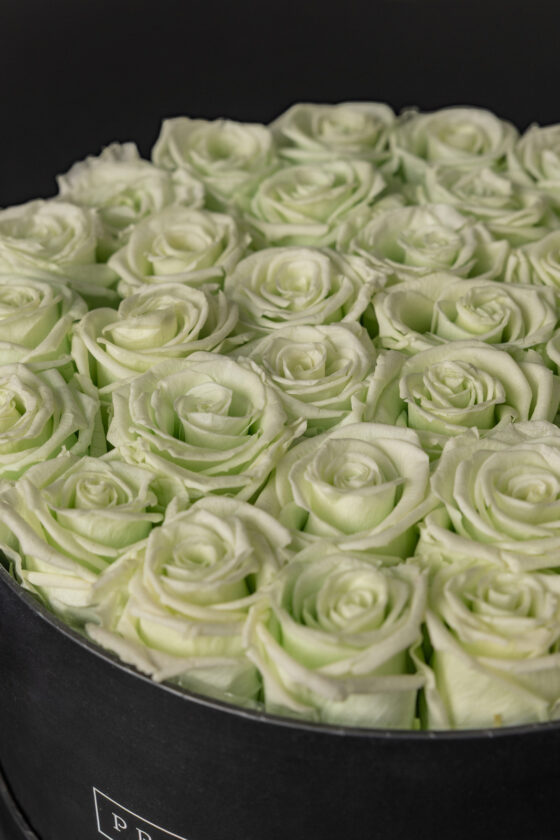 Caja Redonda Negra Rosas Eternas Tiffany - Imagen 3