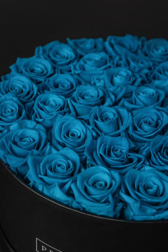 Caja Redonda Negra Rosas Eternas Aquamarine - Imagen 3