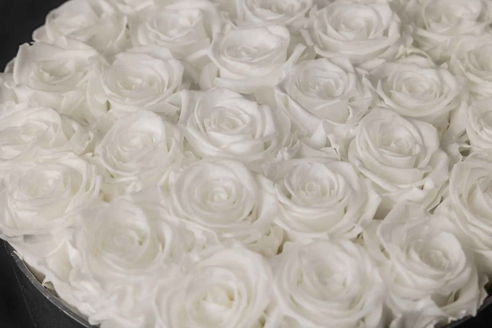 Round Box of Pure White Eternal Roses - Image 5