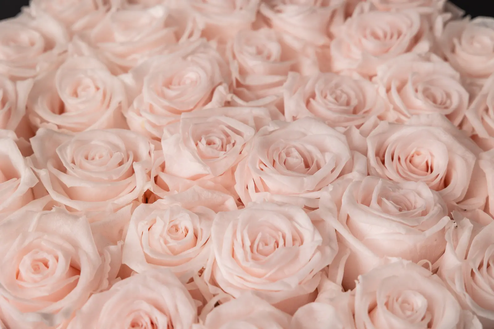 Круглая черная коробка Eternal Roses Pink Blush - Изображение 3