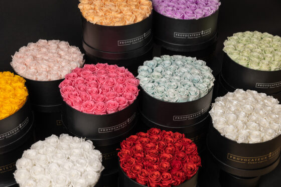 Caja Redonda de Rosas Preservadas - Imagen 4