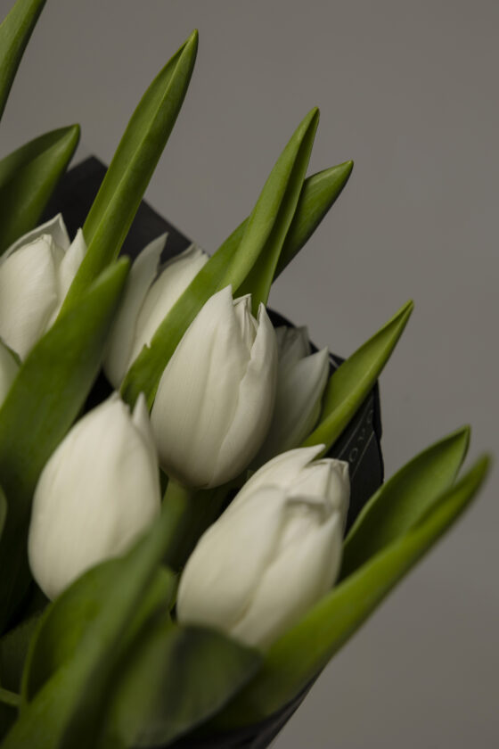 Ramo de tulipanes blancos - Imagen 2