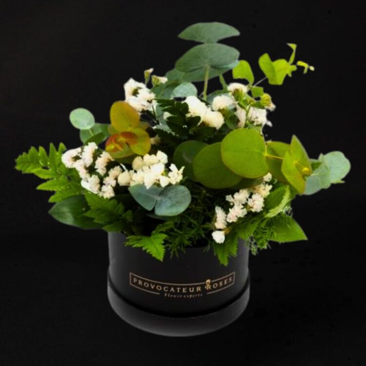 Mojito Cocktail Box