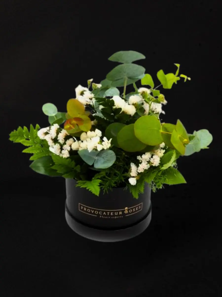 Mojito Cocktail Box