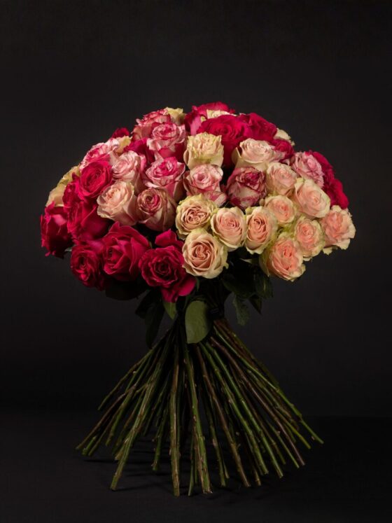 Imagine 50 Roses 50 Roses Premium Bicolor