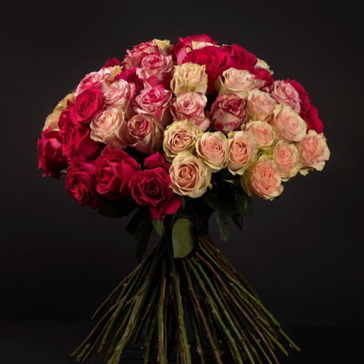 50 Roses Premium Bicolor
