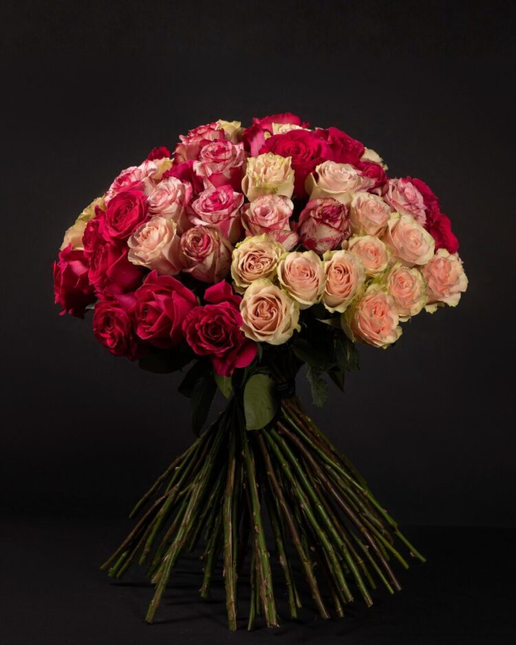 50 Roses Premium Bicolor