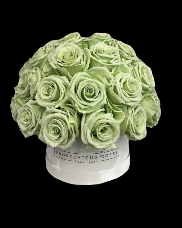 Eternas Glamour Tiffany