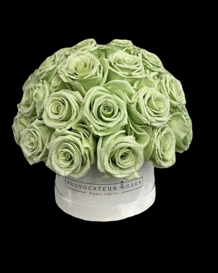 Eternal Glamour Tiffany