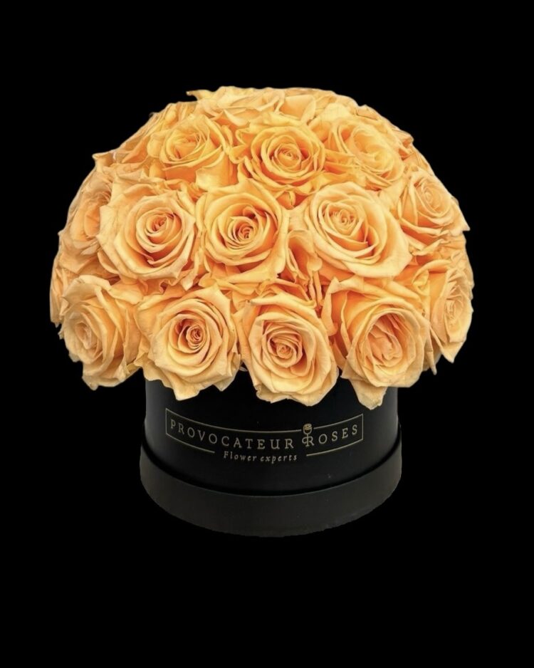 Eternas Glamour Melocotón