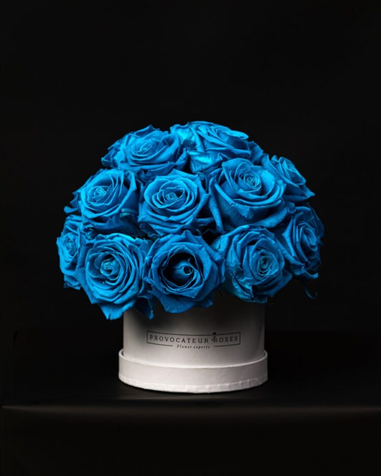 Glamour Little Ocean Blue
