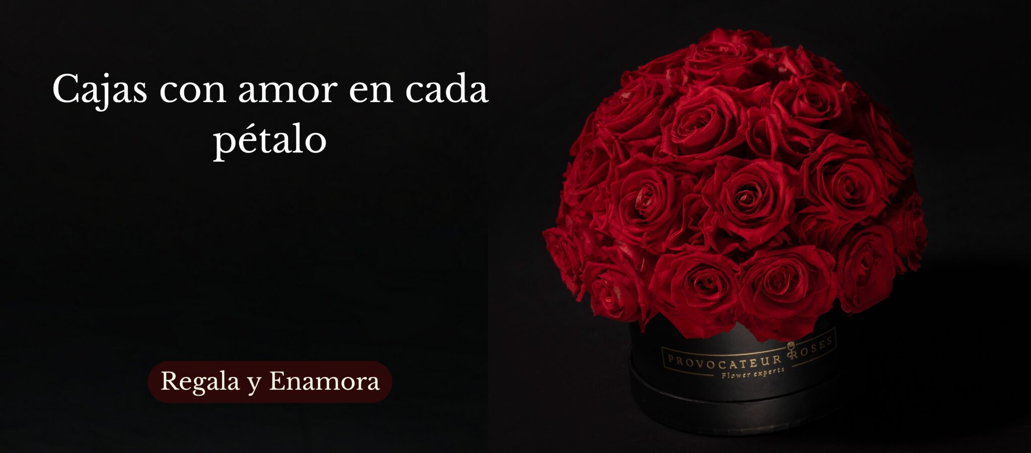 Sin título (2048 x 900 px)