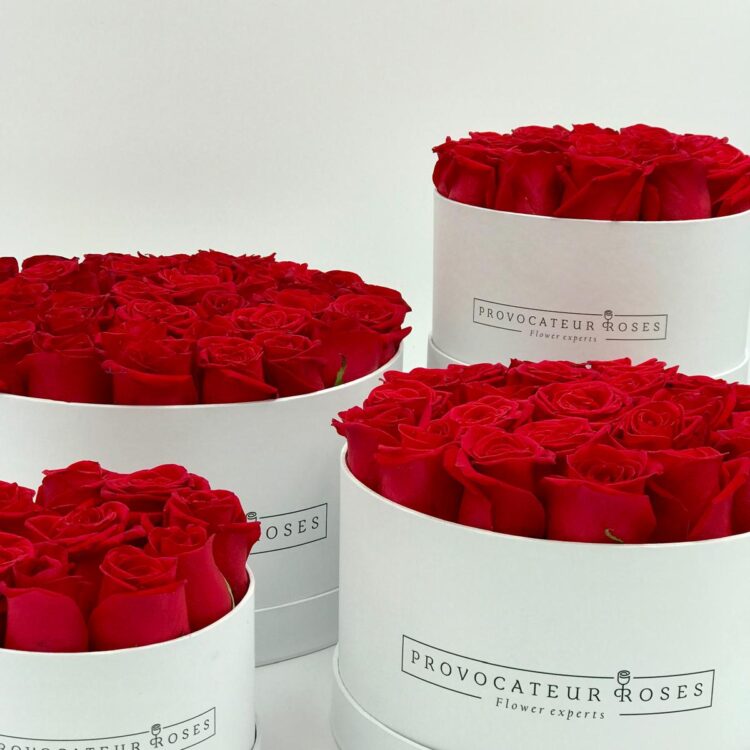 Caja Redonda blanca con rosas rojas frescas