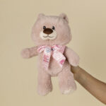 Oso Rosa (25cm) +15,00€