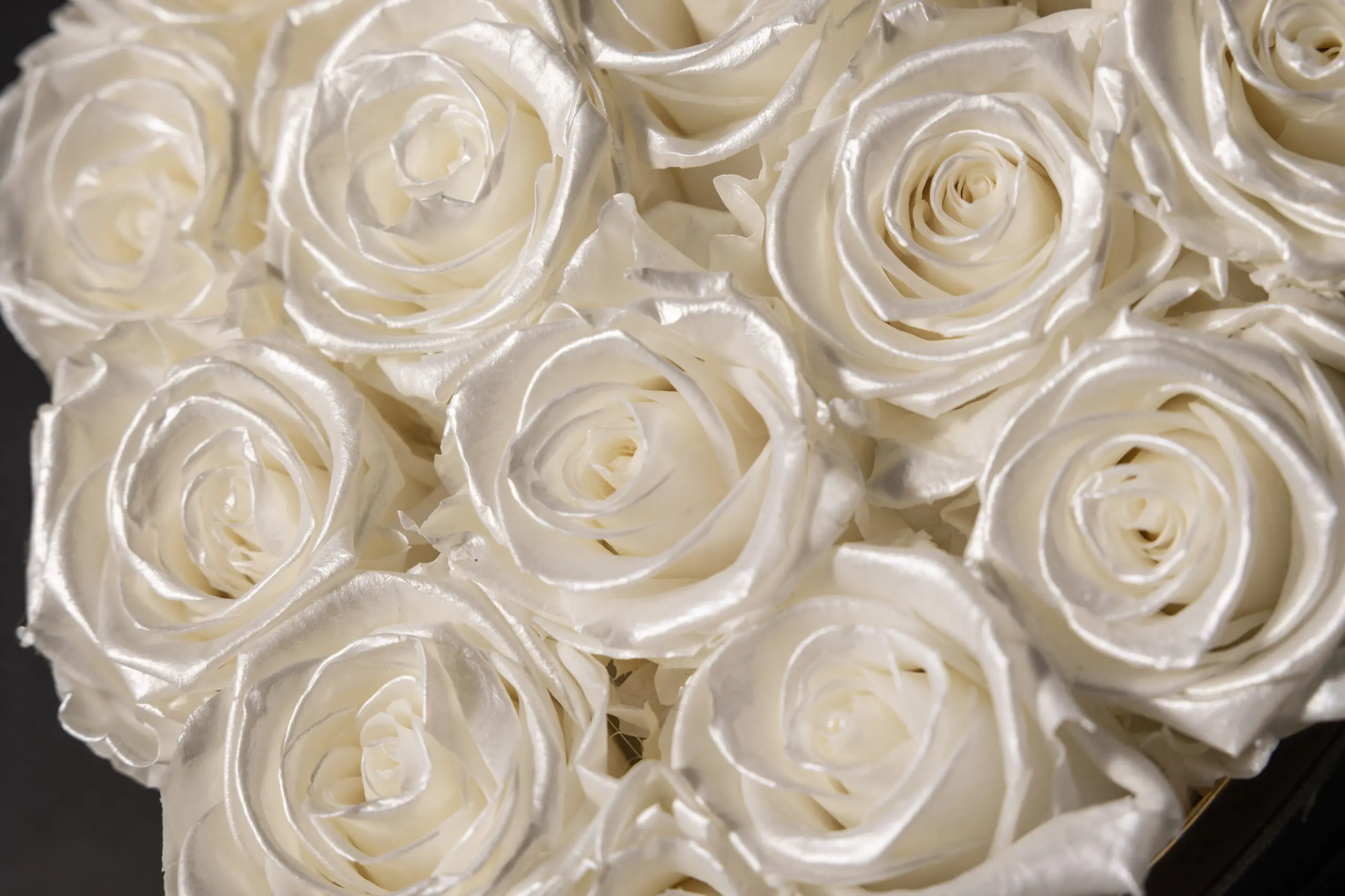 Sweet Box of Fresh Roses - White Pearl - Image 6