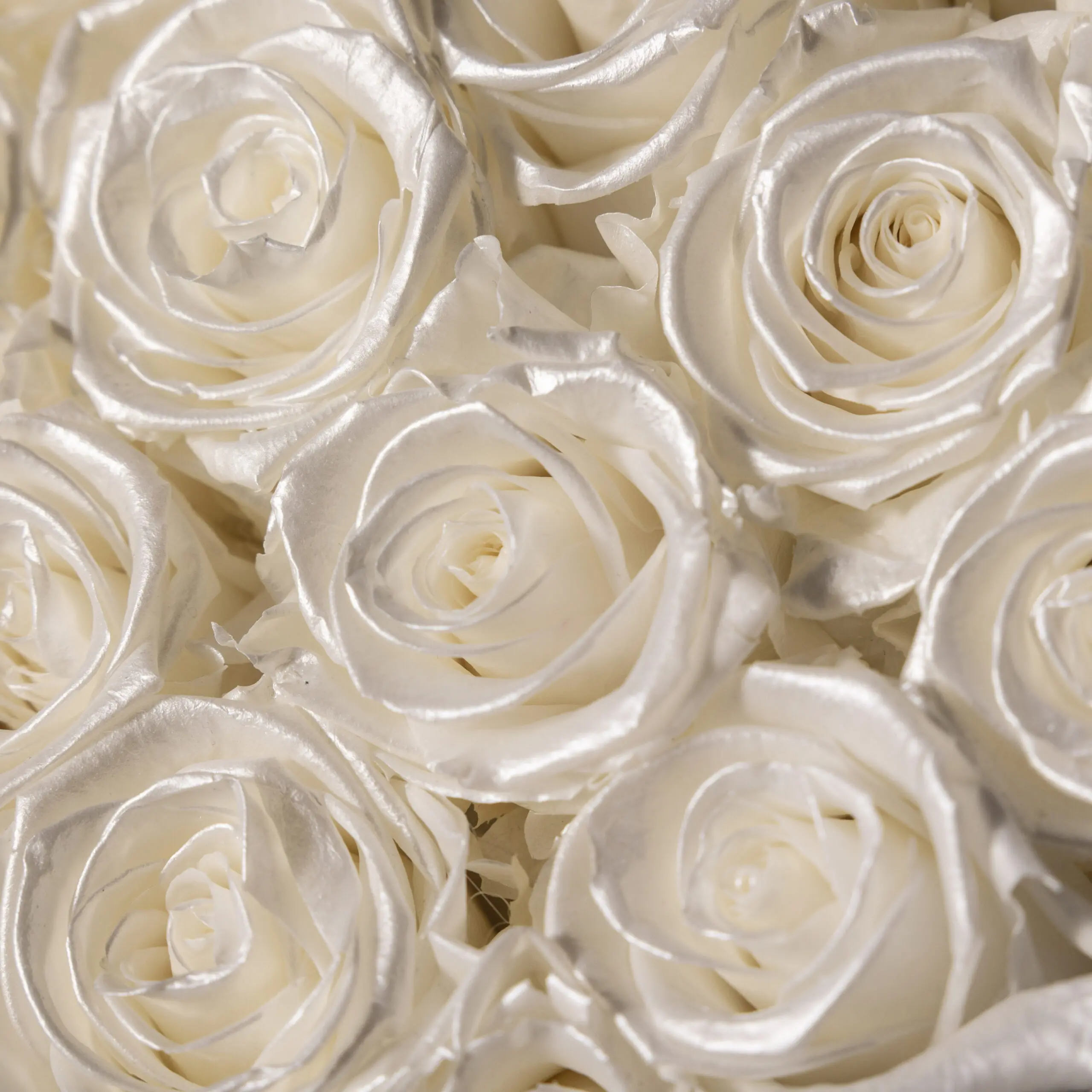 Sweet Box of Fresh Roses - White Pearl - Image 4
