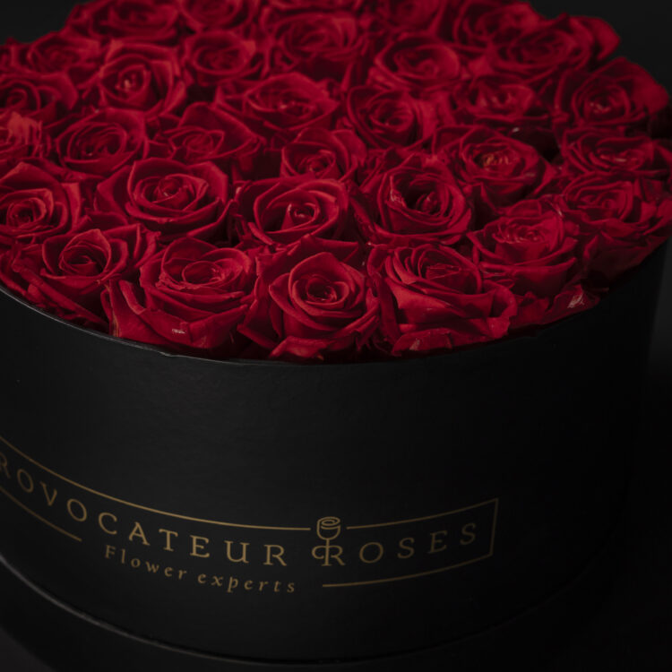 Black Premium Box Rosas Frescas Rojas