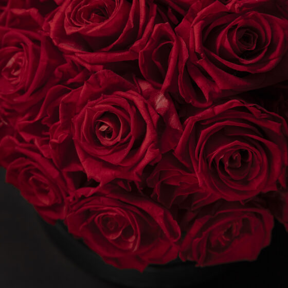 Red Eternal Glamour Box - Imagen 3