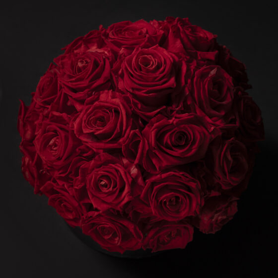 Red Eternal Glamour Box - Imagen 2