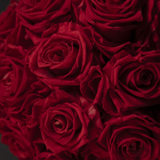 Red Eternal Glamour Box - Imagen 4