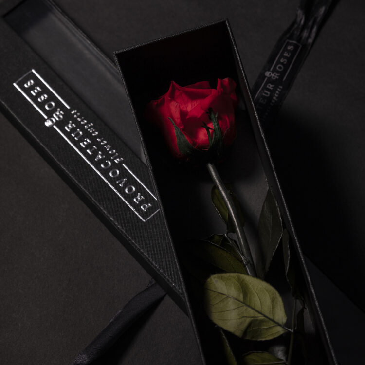 Eternity Red Rose
