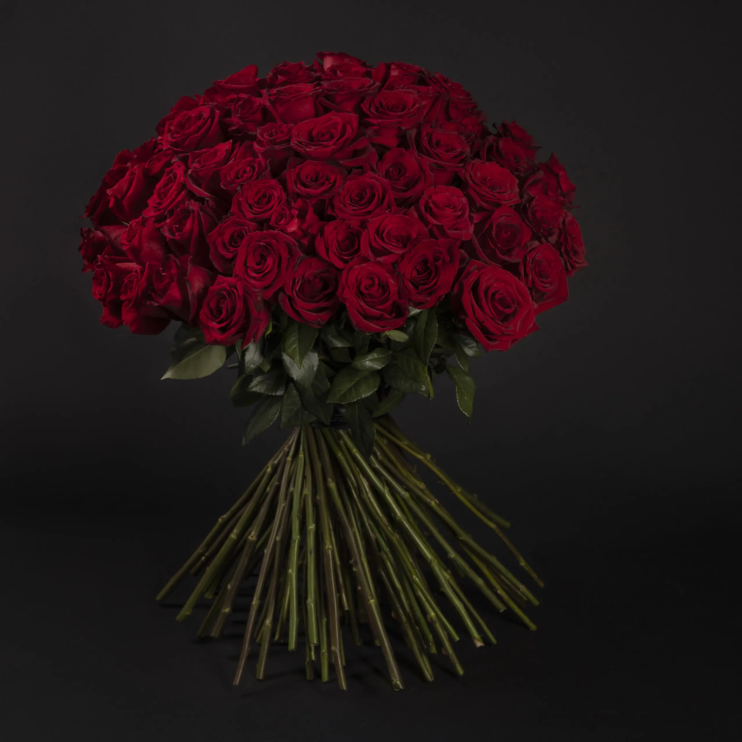 50 Premium Red Roses - Image 2