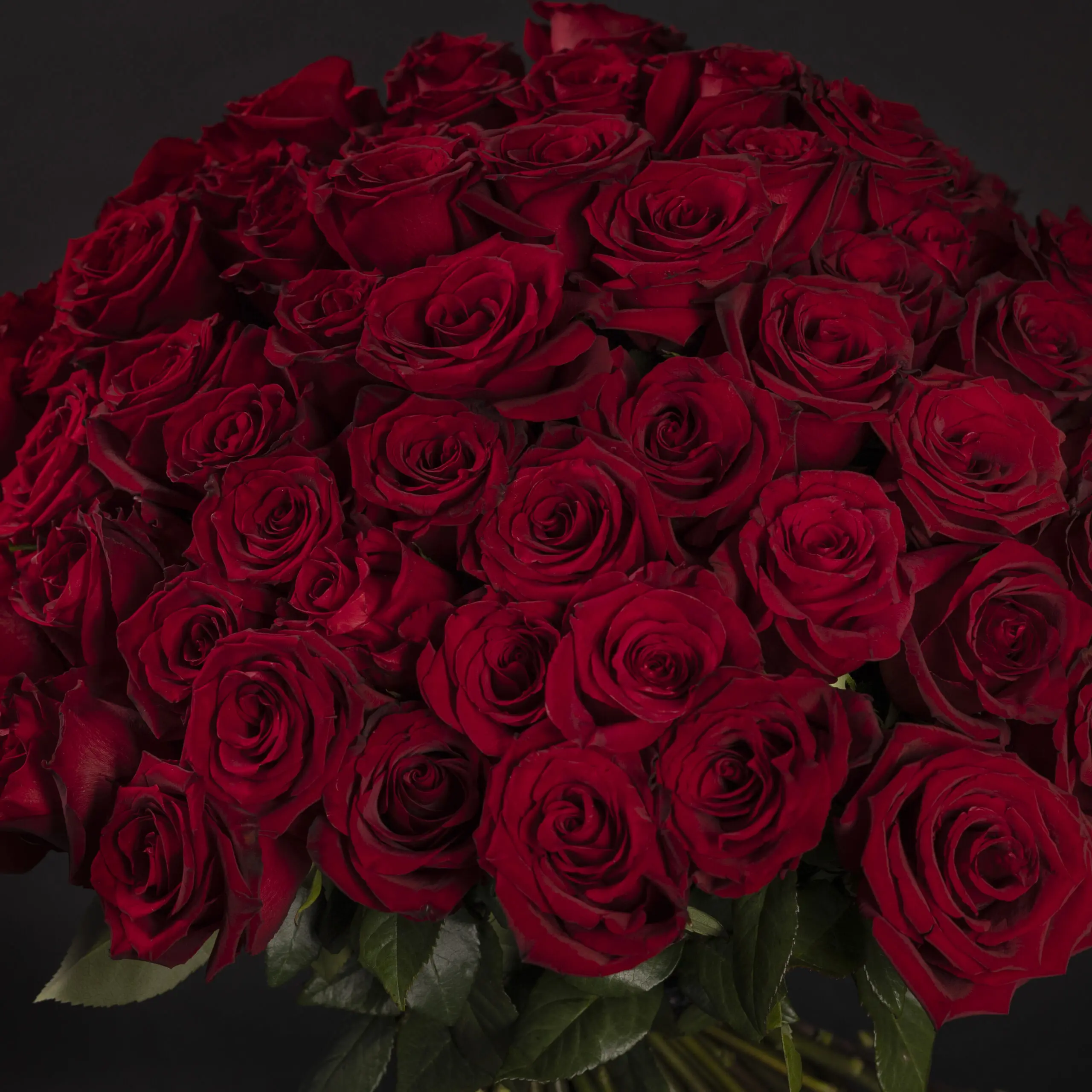 50 Premium Red Roses - Image 3