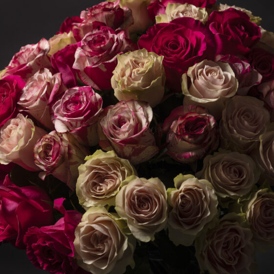 Sweet love bouquet (75 Rosas) - Imagen 2