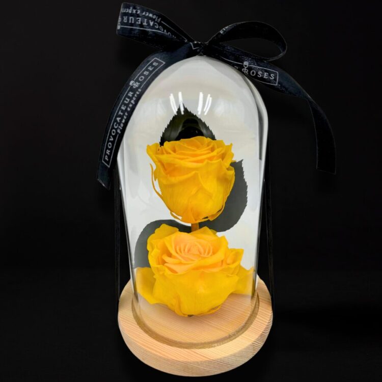 2 Rosas Eternas Amarillas en Cúpula