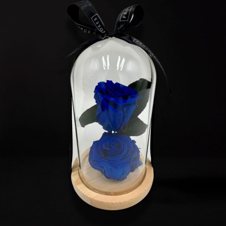 2 Rosas Eternas Azul en Cúpula