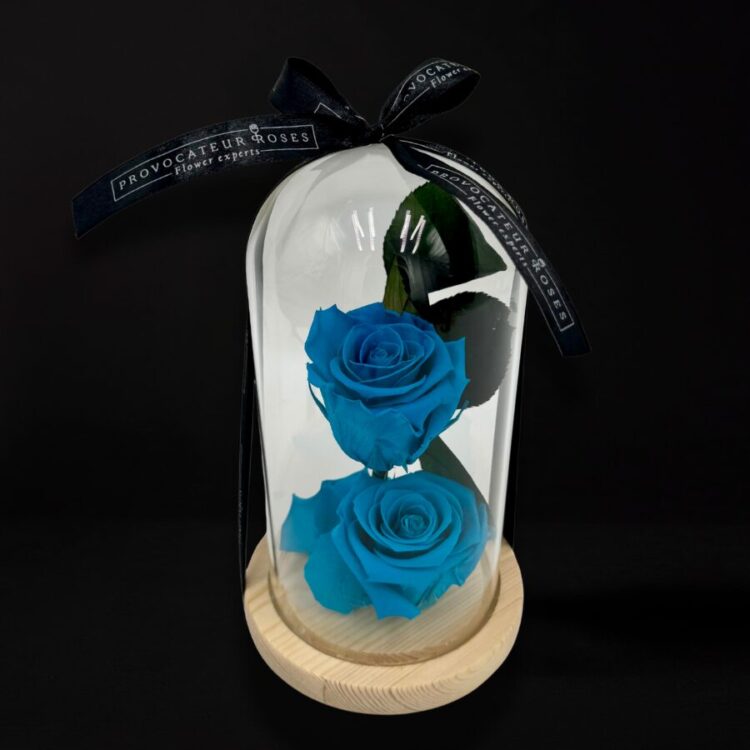 2 Rosas Preservadas en Azul Turquesa con Cúpula