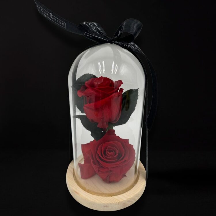 2 Rosas Preservadas Rojas con Cúpula