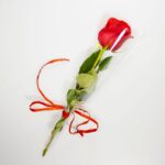 Tallo de rosa roja fresca +6,00€