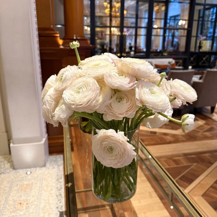 15 tallos de ranúnculos blancos