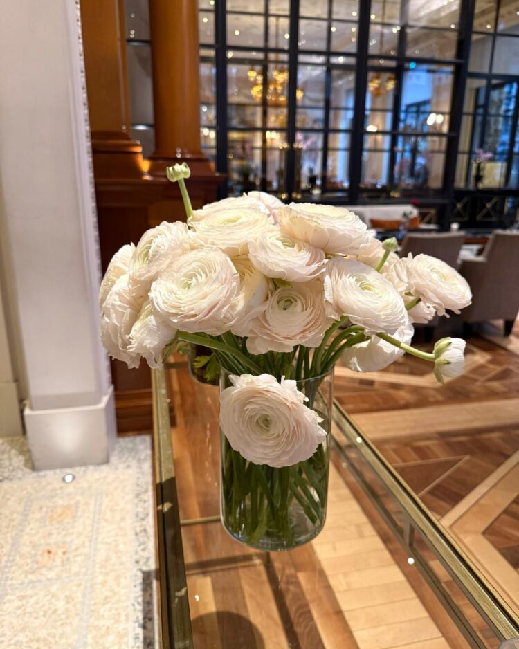 15 tallos de ranúnculos blancos