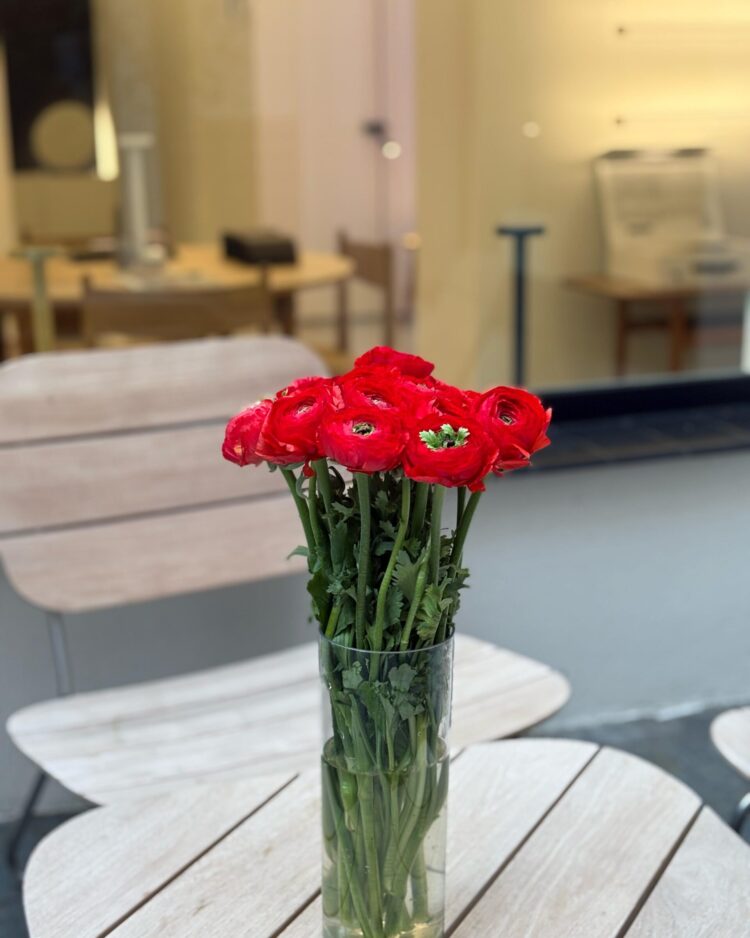 10 tallos de Ranúnculos Rojos