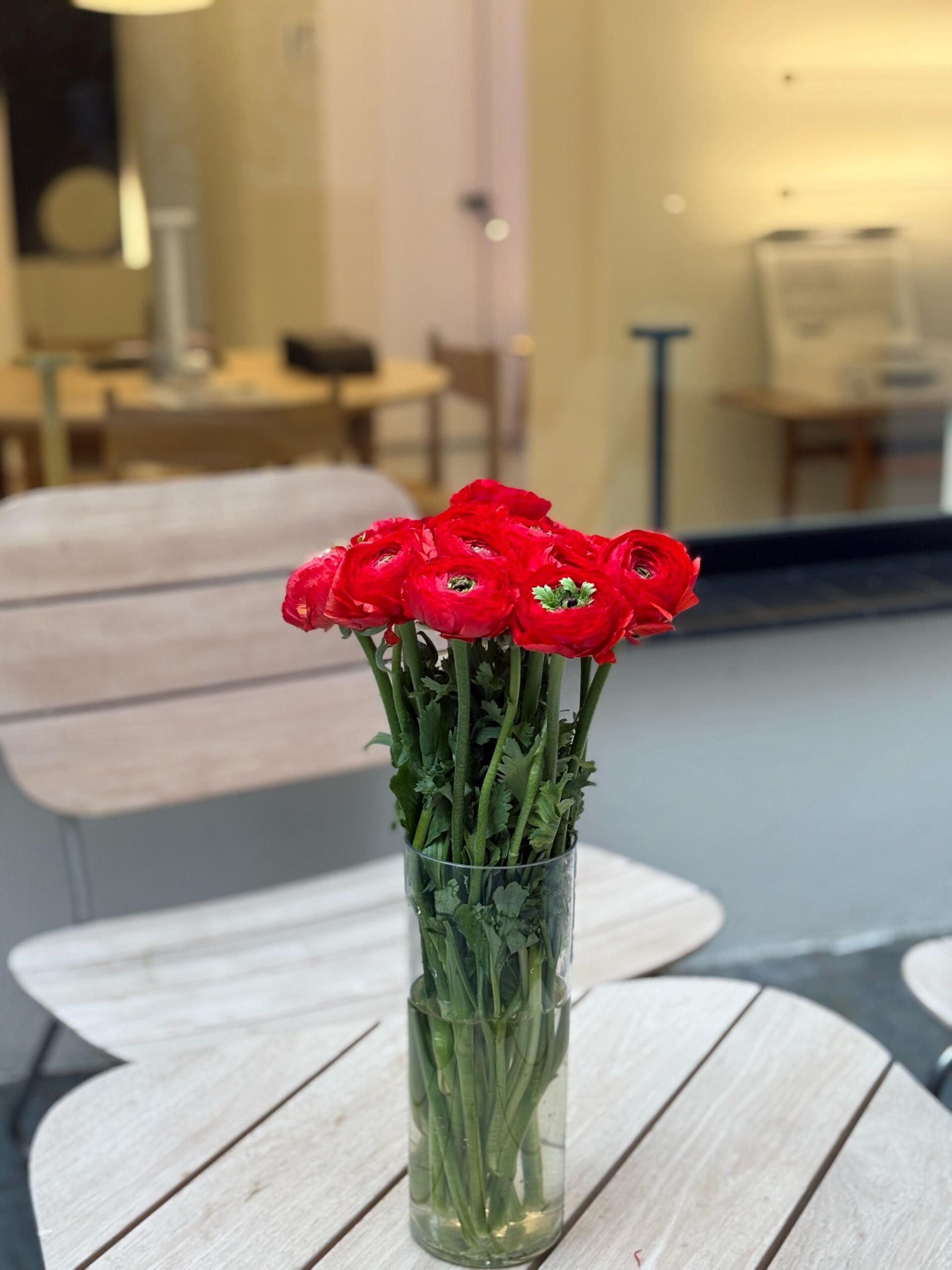 10 tallos de Ranúnculos Rojos