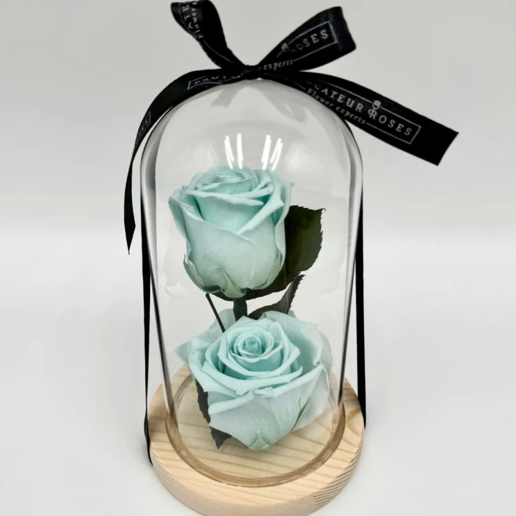2 Aquamarine Preserved Roses with Dome