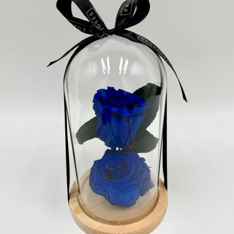 2 Eternal Blue Roses in Dome