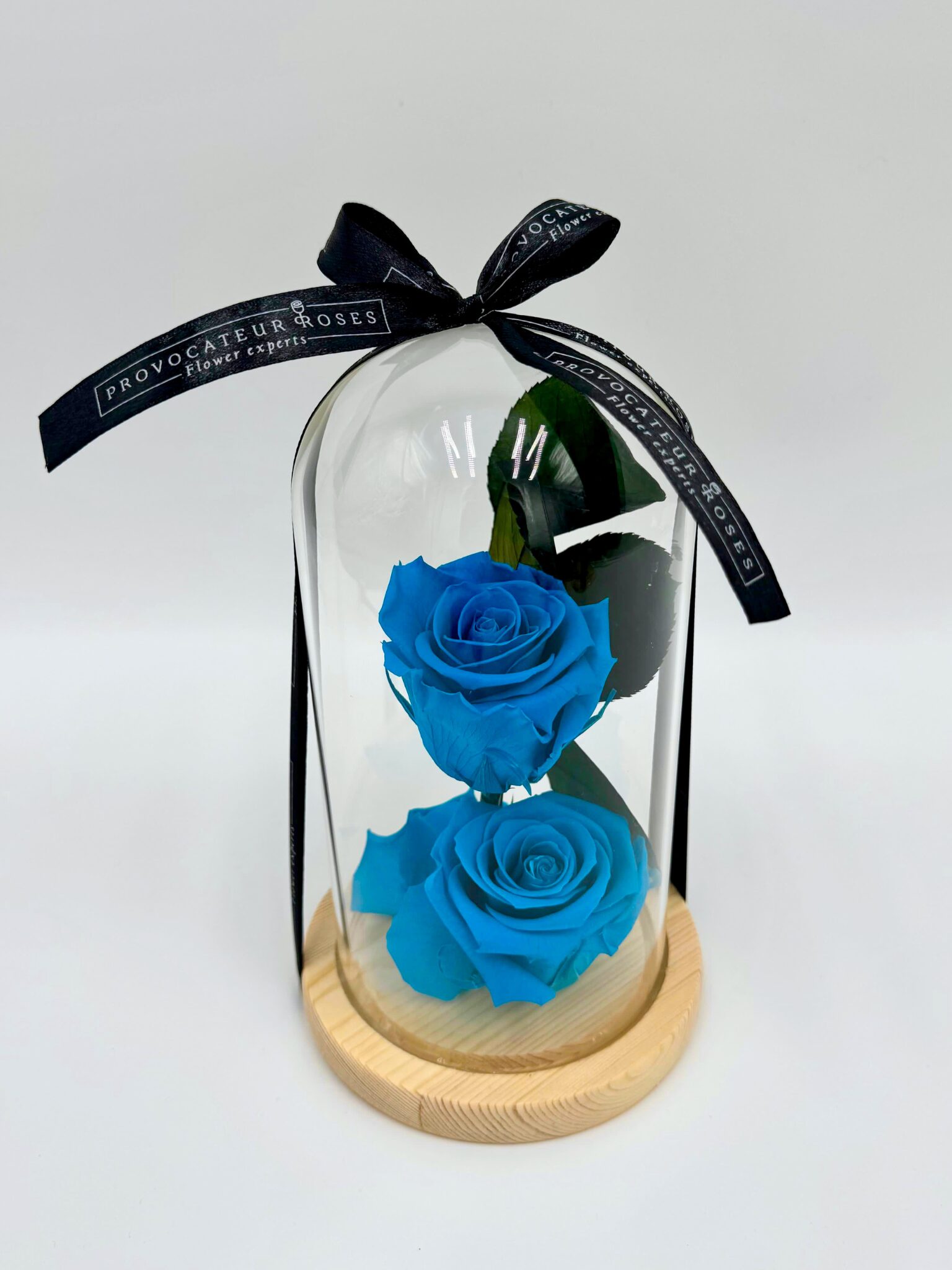 2 Rosas Preservadas en Azul Turquesa con Cúpula