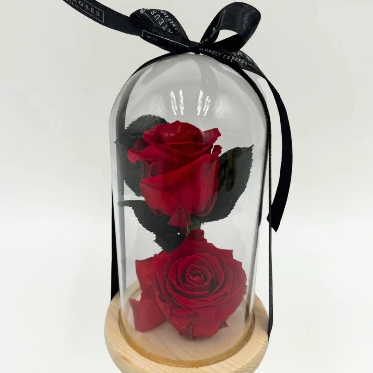2 Preserved Red Roses with Dome