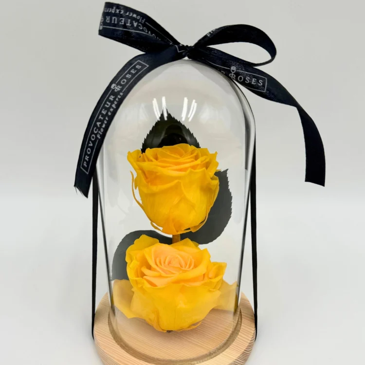 2 Yellow Eternal Roses in Dome