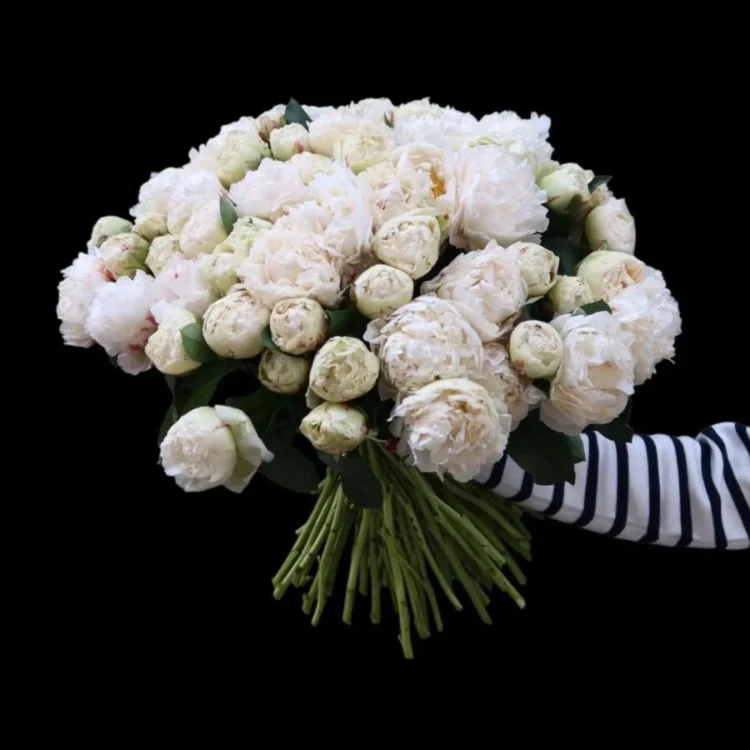 Bouquet of white peonies
