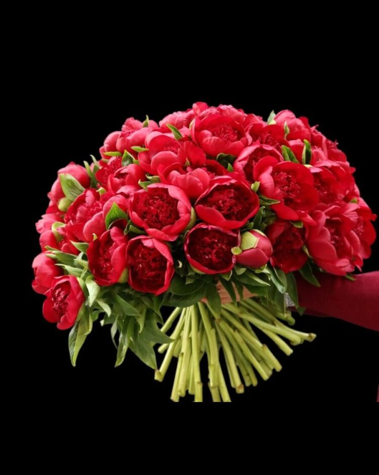 Bouquet de Peonías rojas